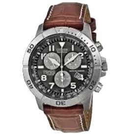 CITIZEN Eco-Drive Perpetual Calendar Chronograph Men's Watch