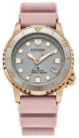 Citizen Stainless Steel Sport Watch