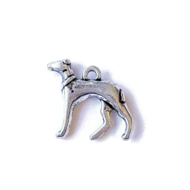 Greyhound/Whippet Dog Charm