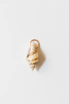 Natural Shell Charm